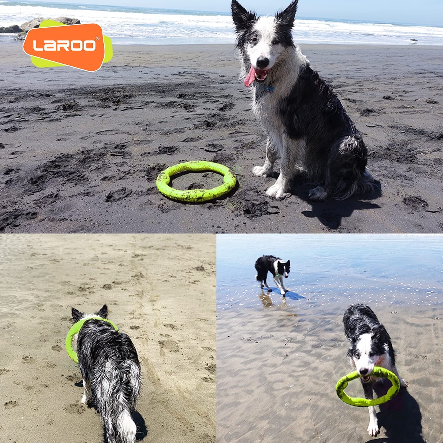 Dog Ring Toy - Durable Flying Ring for Fetch, Water Play & Training | Tough Chew-Proof Design for Aggressive Chewer Breeds, Easy-Throw Lightweight Frisbee for Medium/Large Dogs(Green/30Cm)